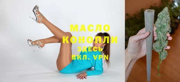 мет Ельня
