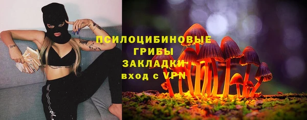 мдпв Дмитриев